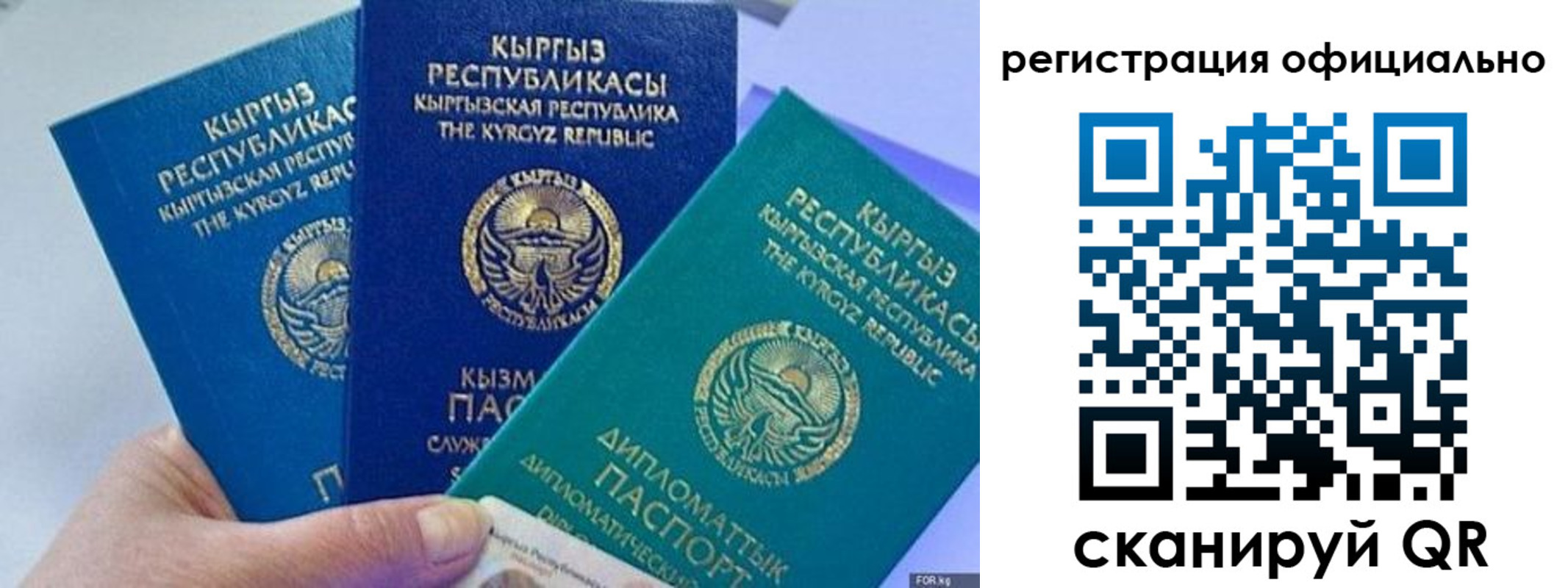 прописка в Полярном